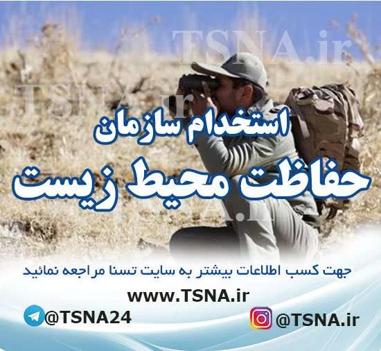 استخدام سازمان محیط زیست