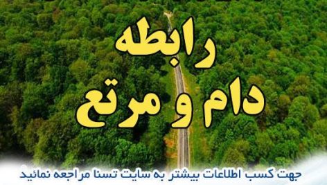 دانلود جزوه و سوالات استخدامی درس رابطه دام و مرتع 2