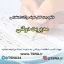 سوالات استخدامی مدیریت دولتی